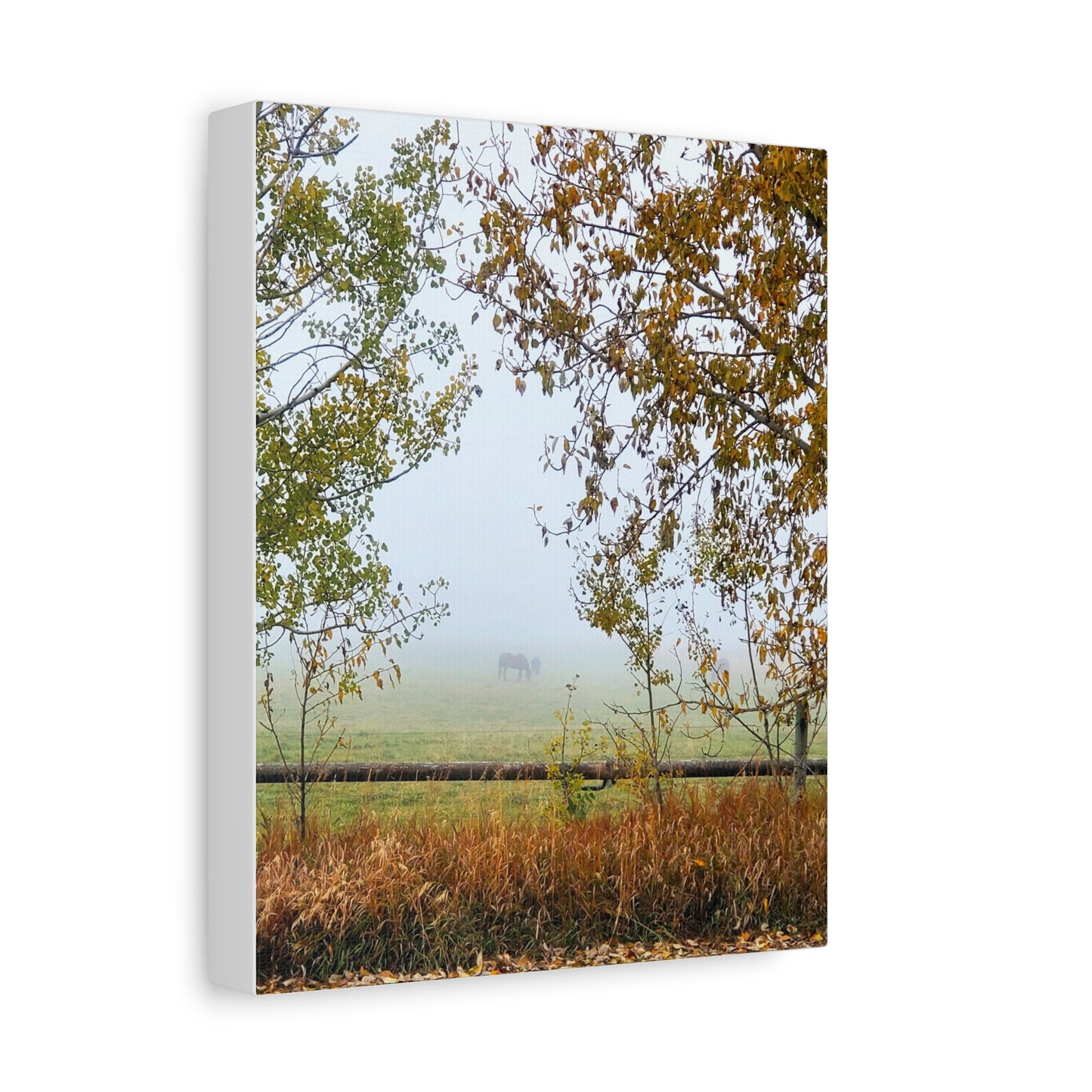 "Fall Pasture" Foggy Landscape Canvas Wall Art - Tranquil Nature Decor for Home
