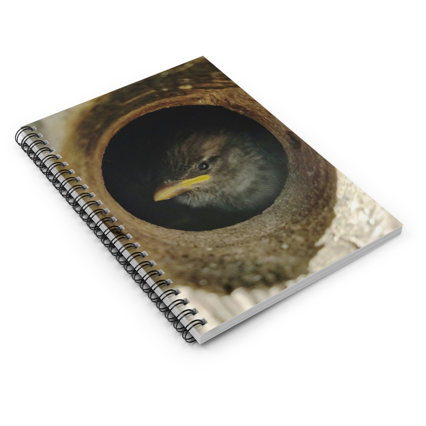 "Peek-A-Boo" Spiral Notebook - Ruled Line