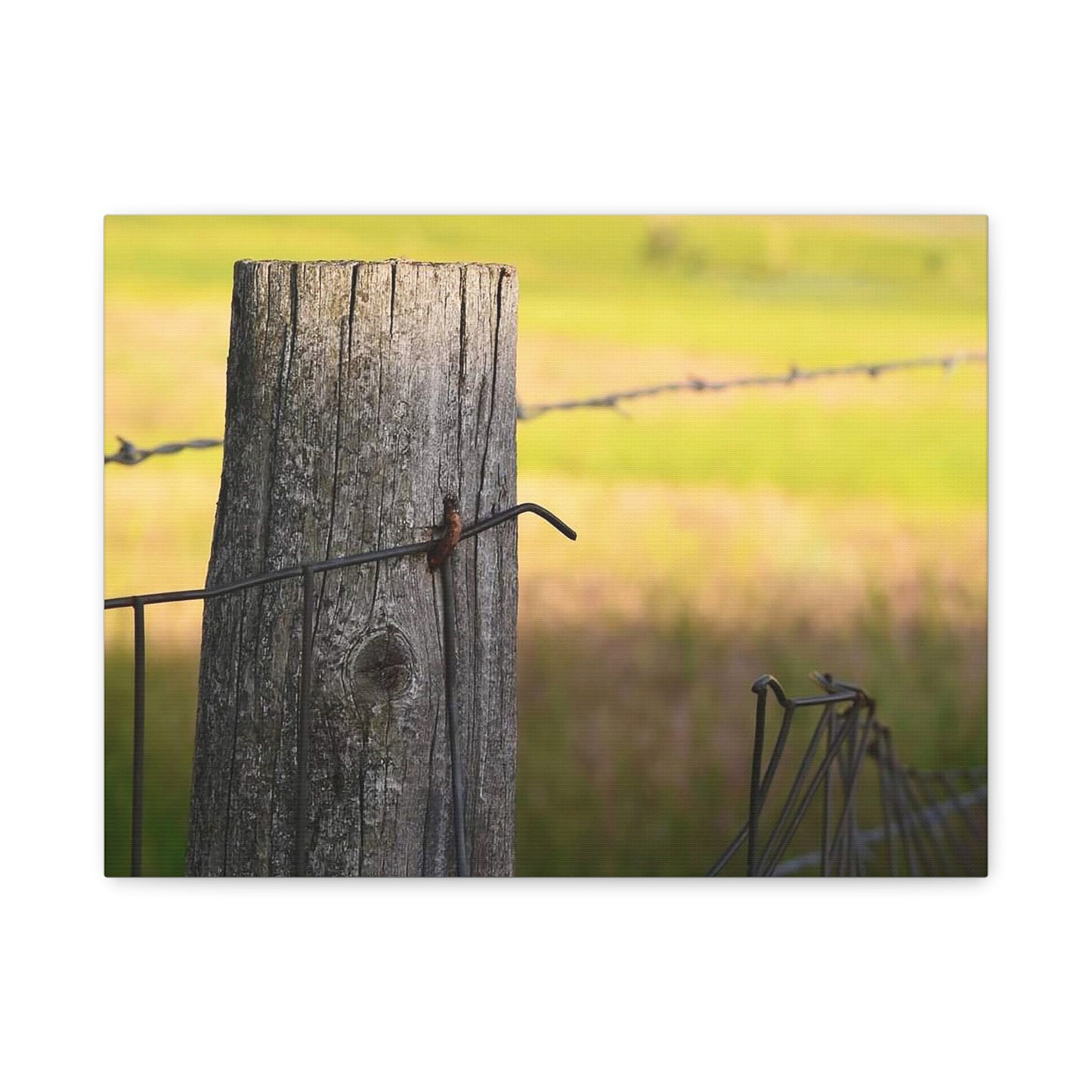 "Broken" Rustic Barbed Wire Canvas Art - Nature Wall Decor
