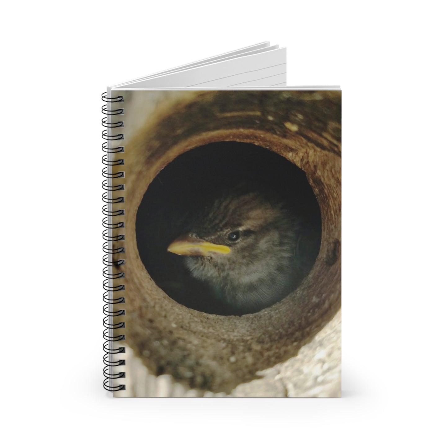 "Peek-A-Boo" Spiral Notebook - Ruled Line
