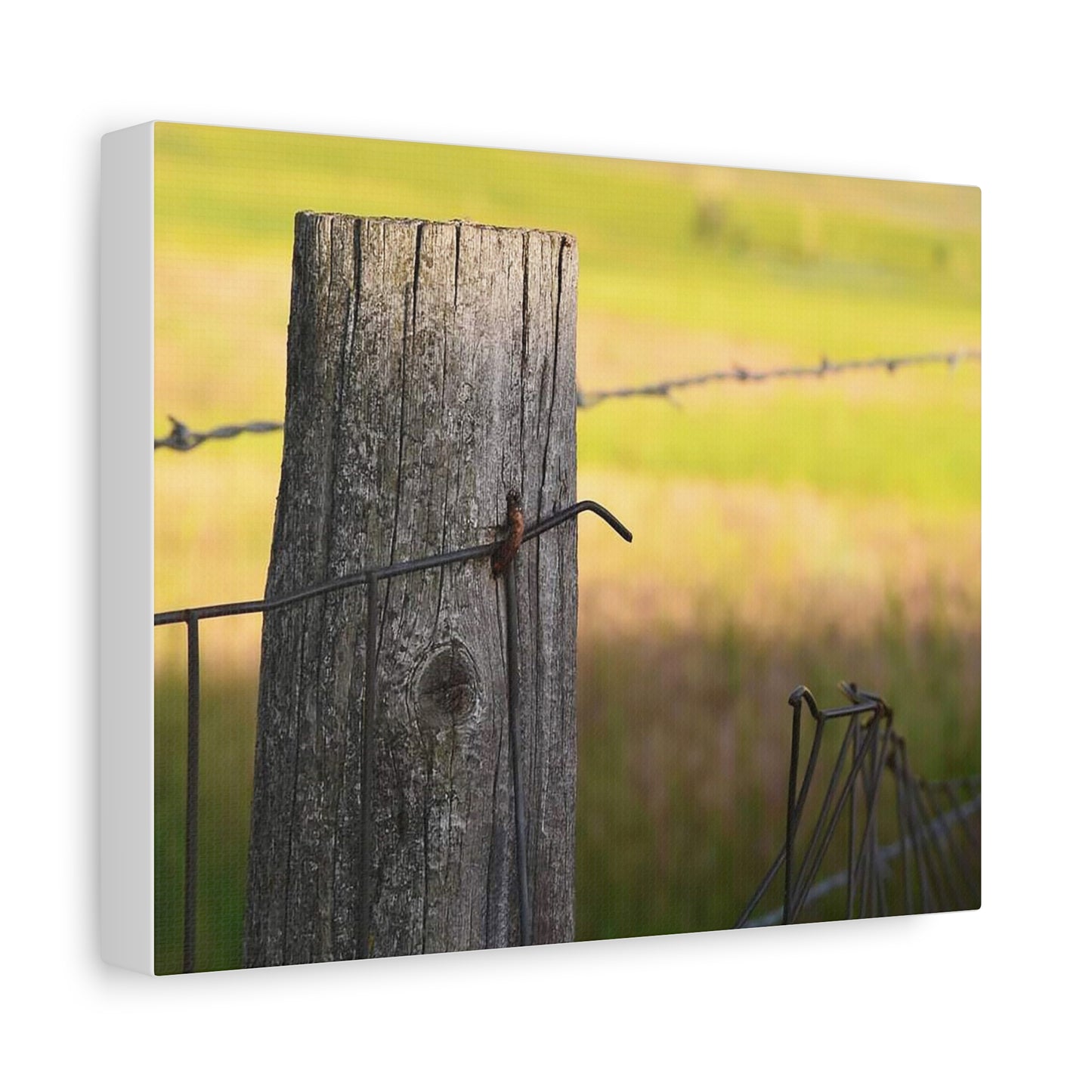 "Broken" Rustic Barbed Wire Canvas Art - Nature Wall Decor
