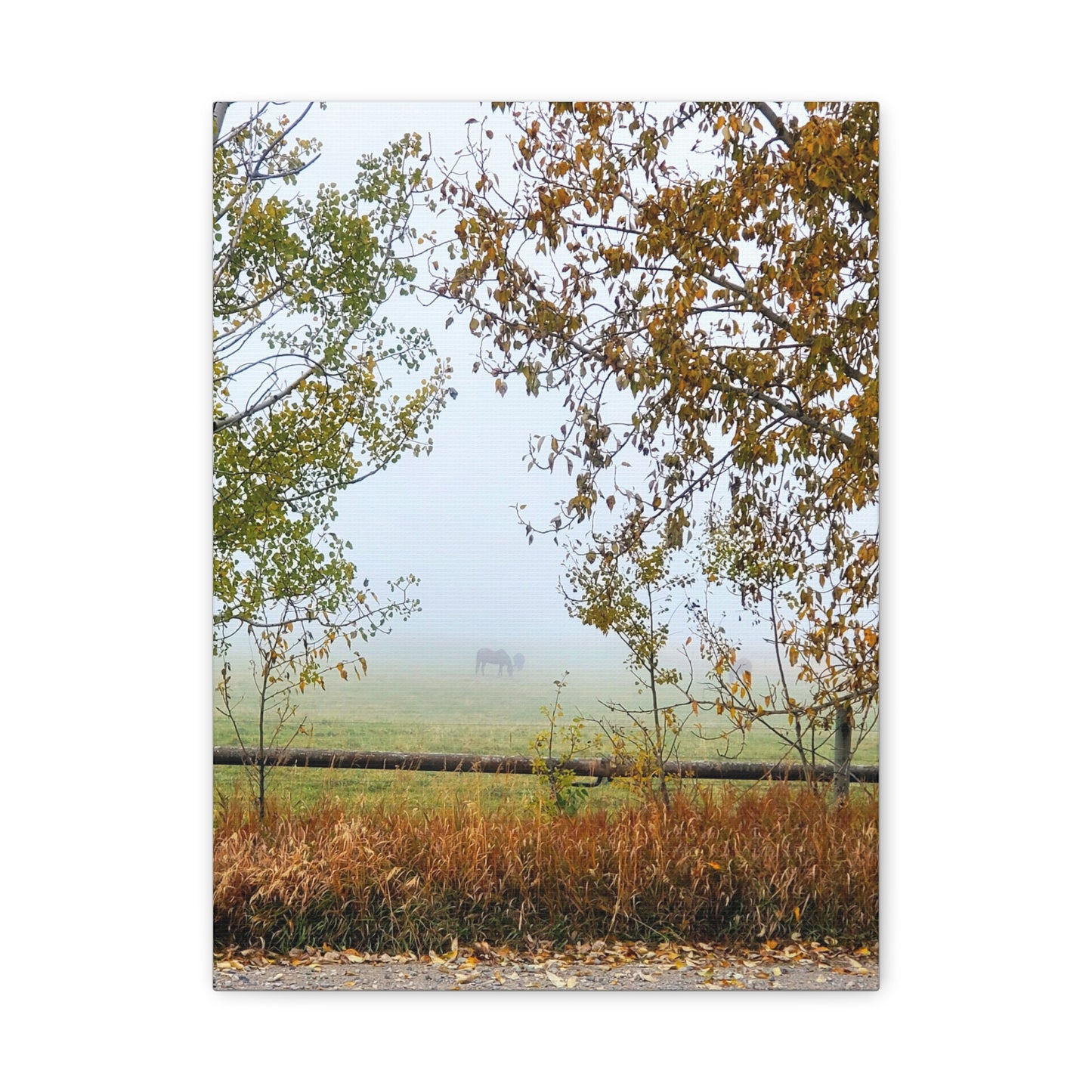 "Fall Pasture" Foggy Landscape Canvas Wall Art - Tranquil Nature Decor for Home