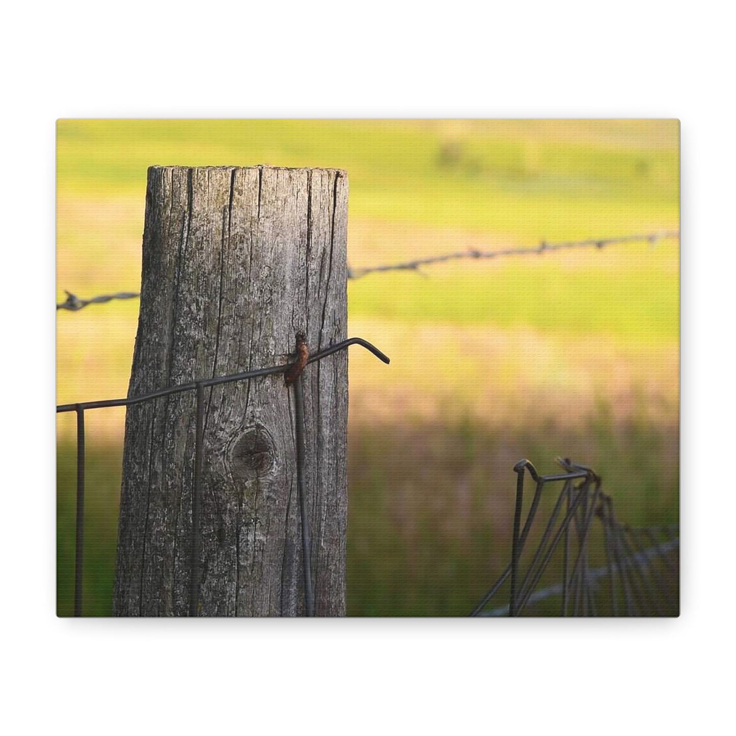 "Broken" Rustic Barbed Wire Canvas Art - Nature Wall Decor