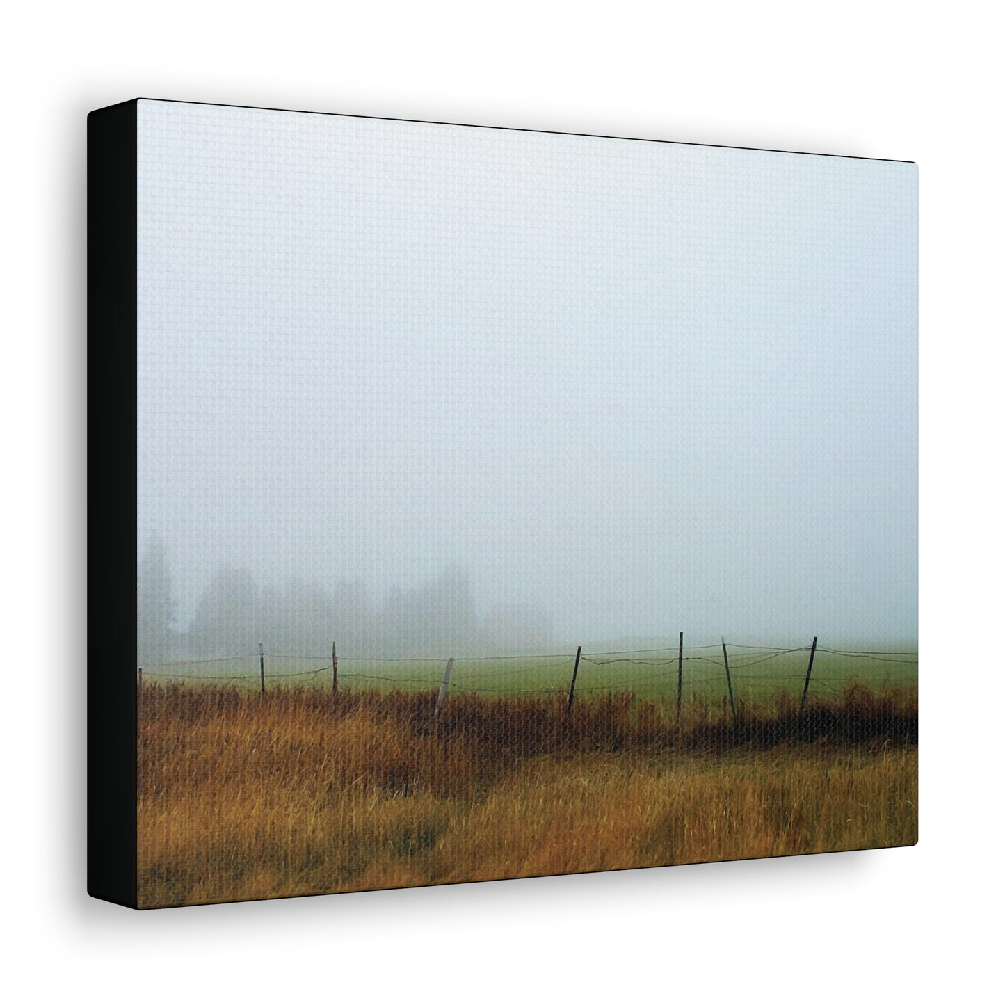 "Foggy Morn"