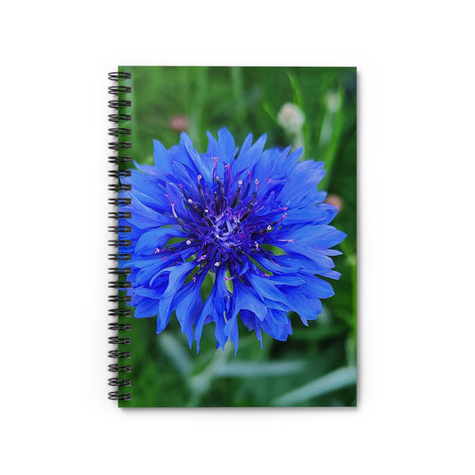 "Bachelor's Button" Spiral Notebook - Ruled Line