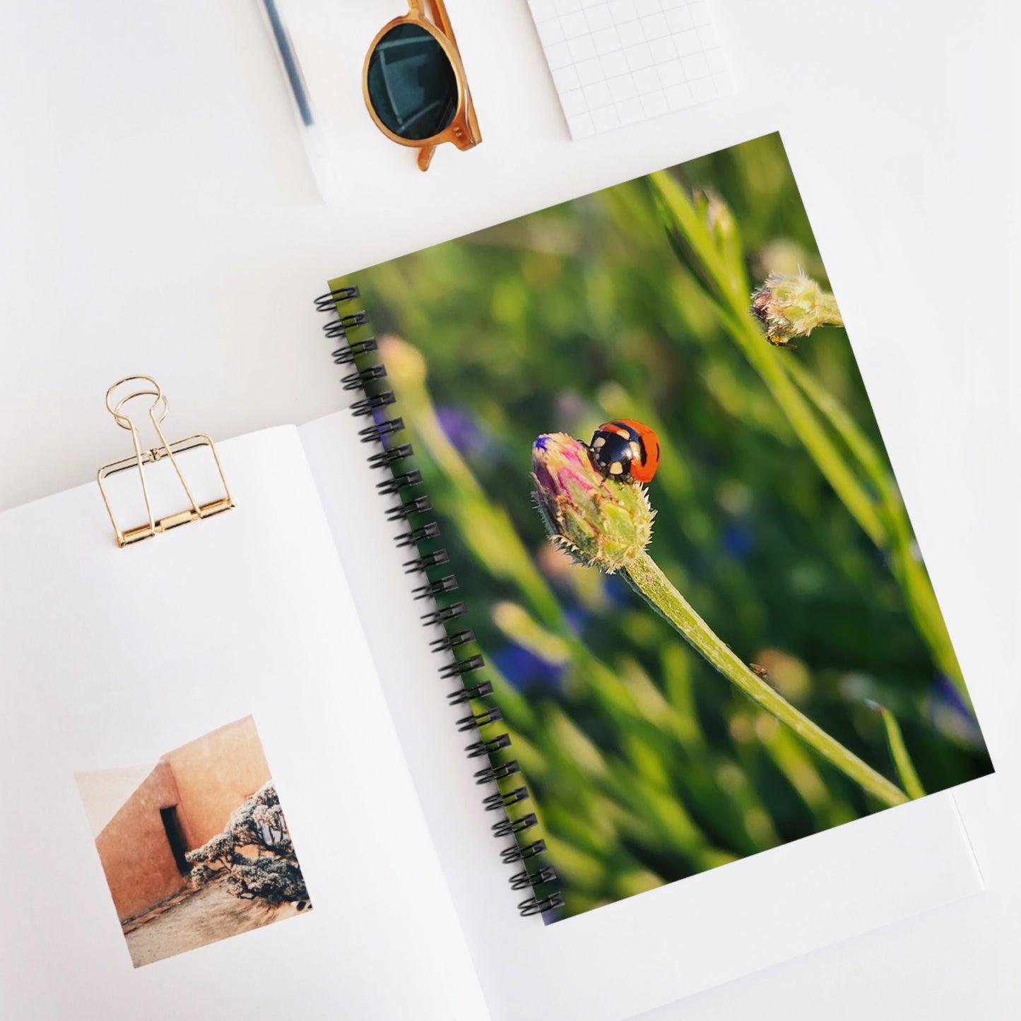 "Ladybug Love" Spiral Notebook - Ruled Line