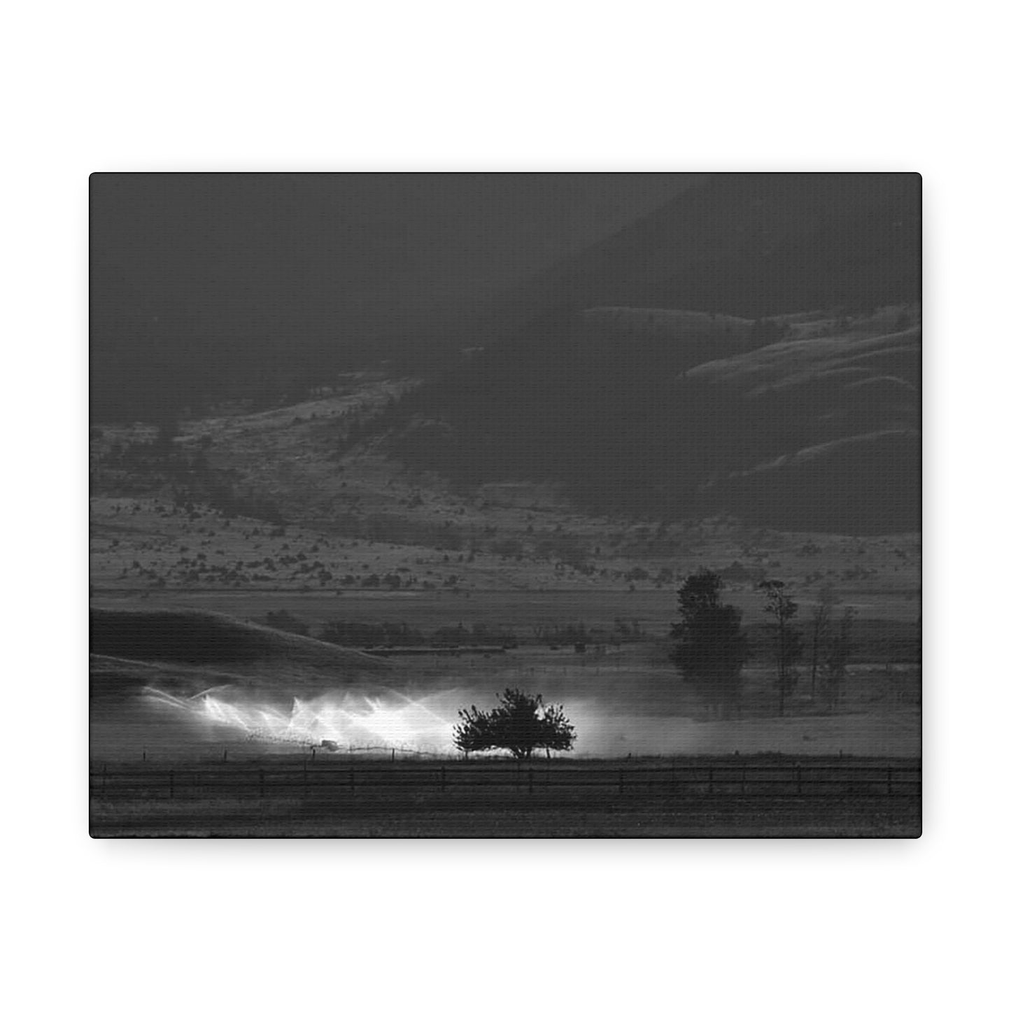 "Moonlit Sprinklers" Canvas Gallery Wrap