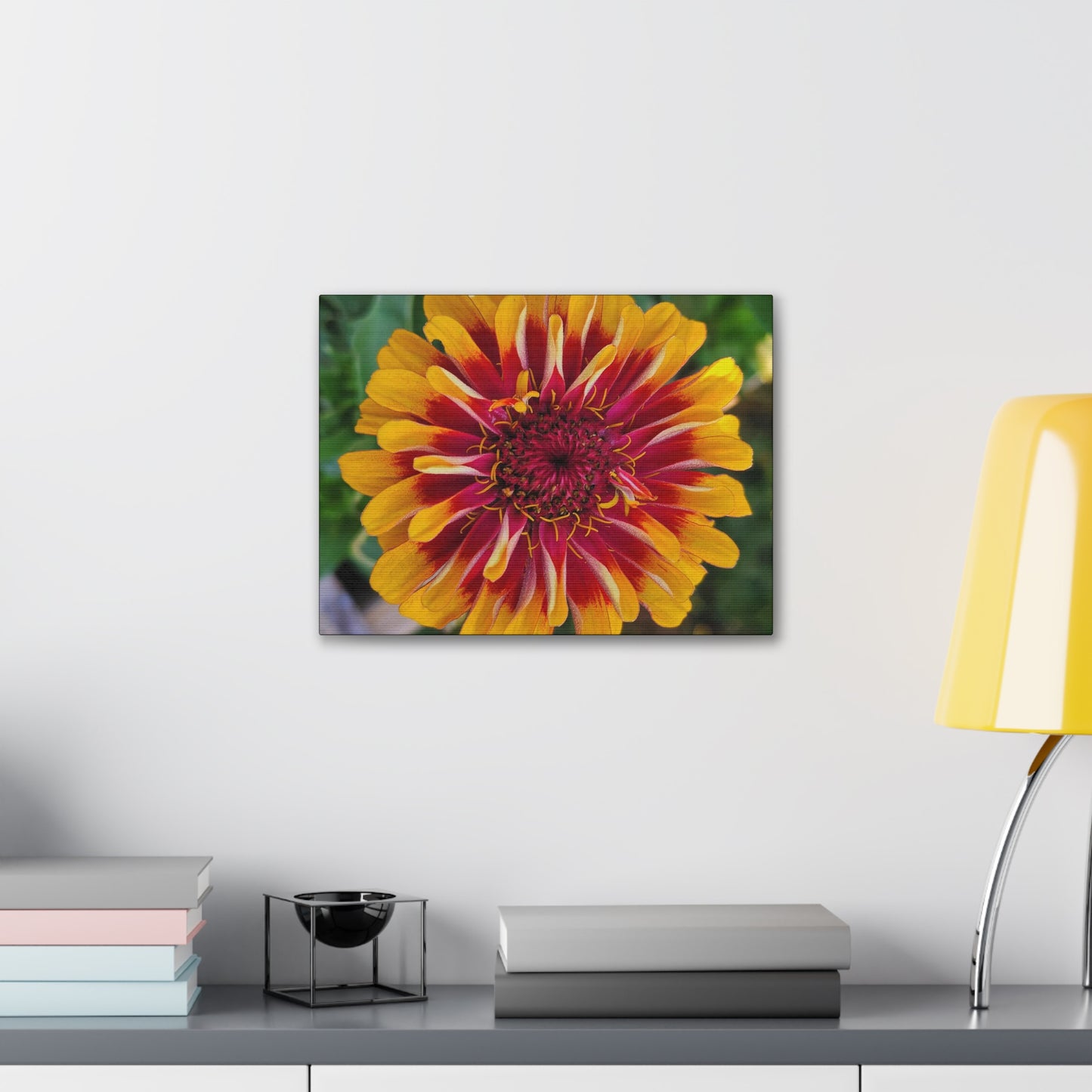 "Yellow Flame Zinnia"