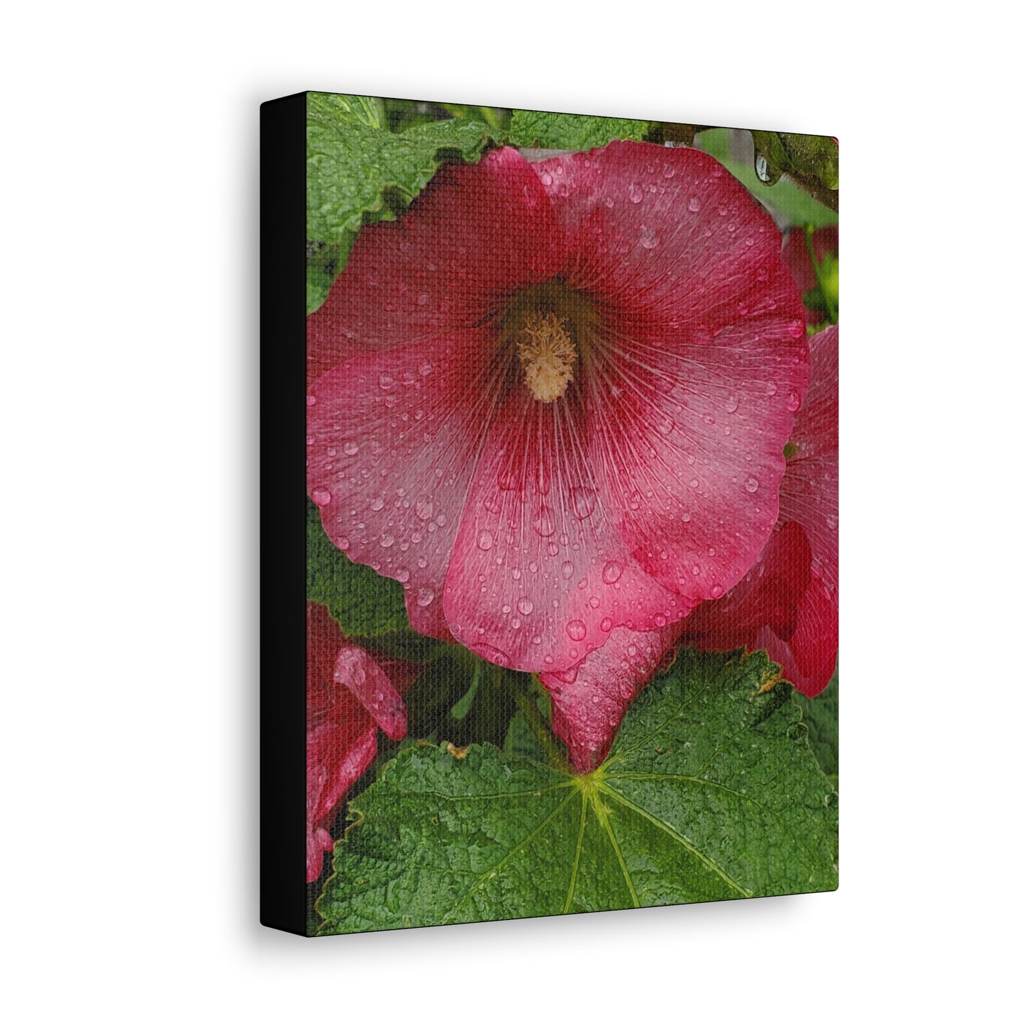 "Red Hollyhock" Canvas Gallery Wrap