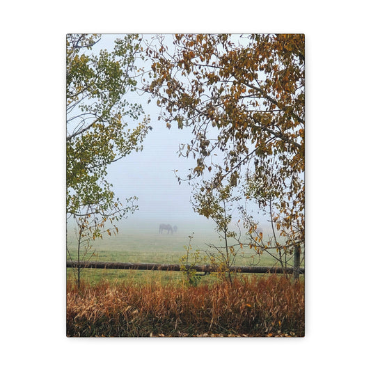 "Fall Pasture"