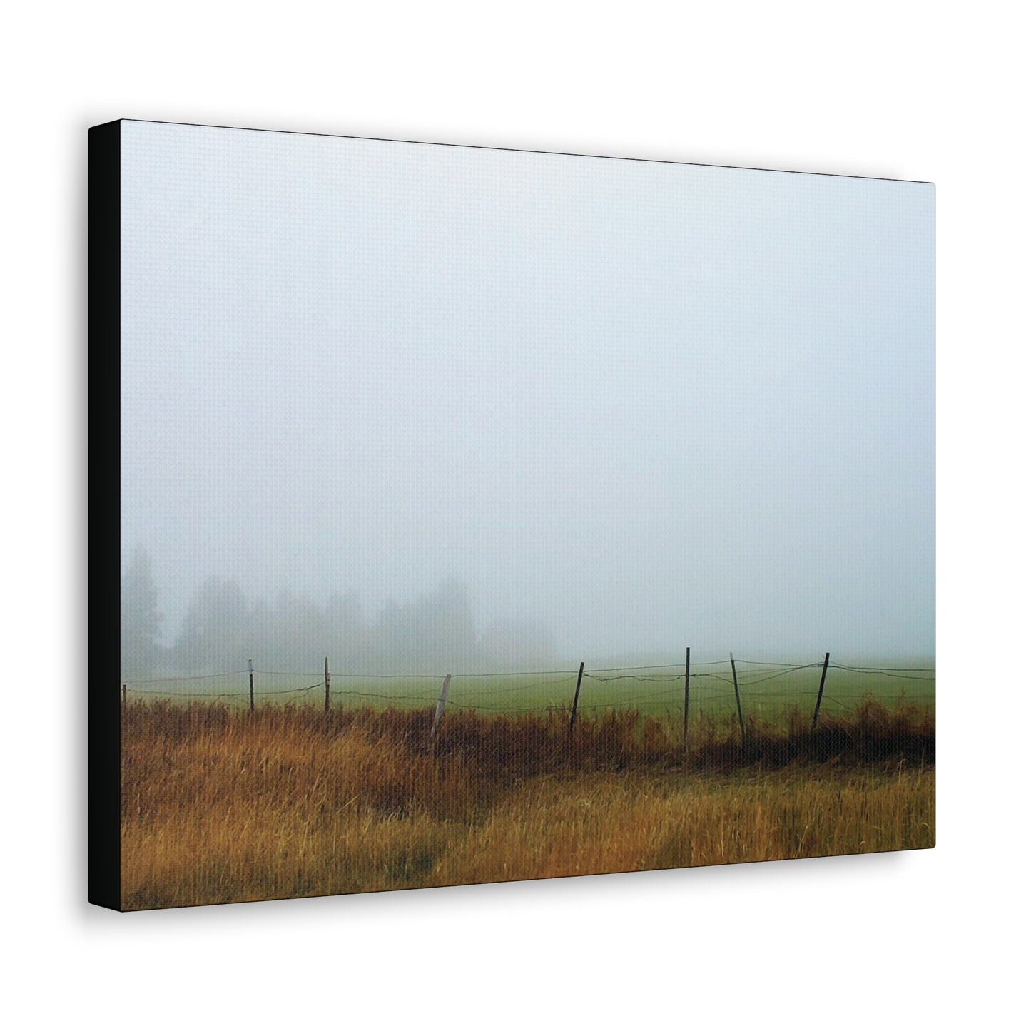 "Foggy Morn"