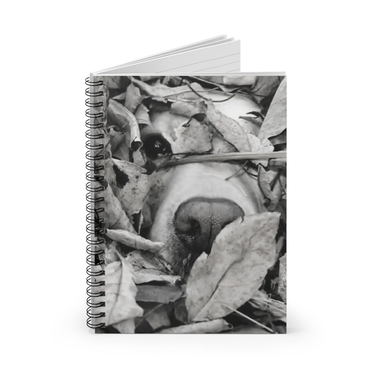 "Hide & Seek" Spiral Notebook - Ruled Line