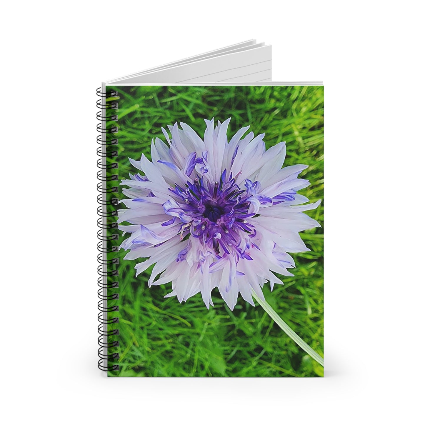 "Coneflower" Spiral Notebook - Ruled Line