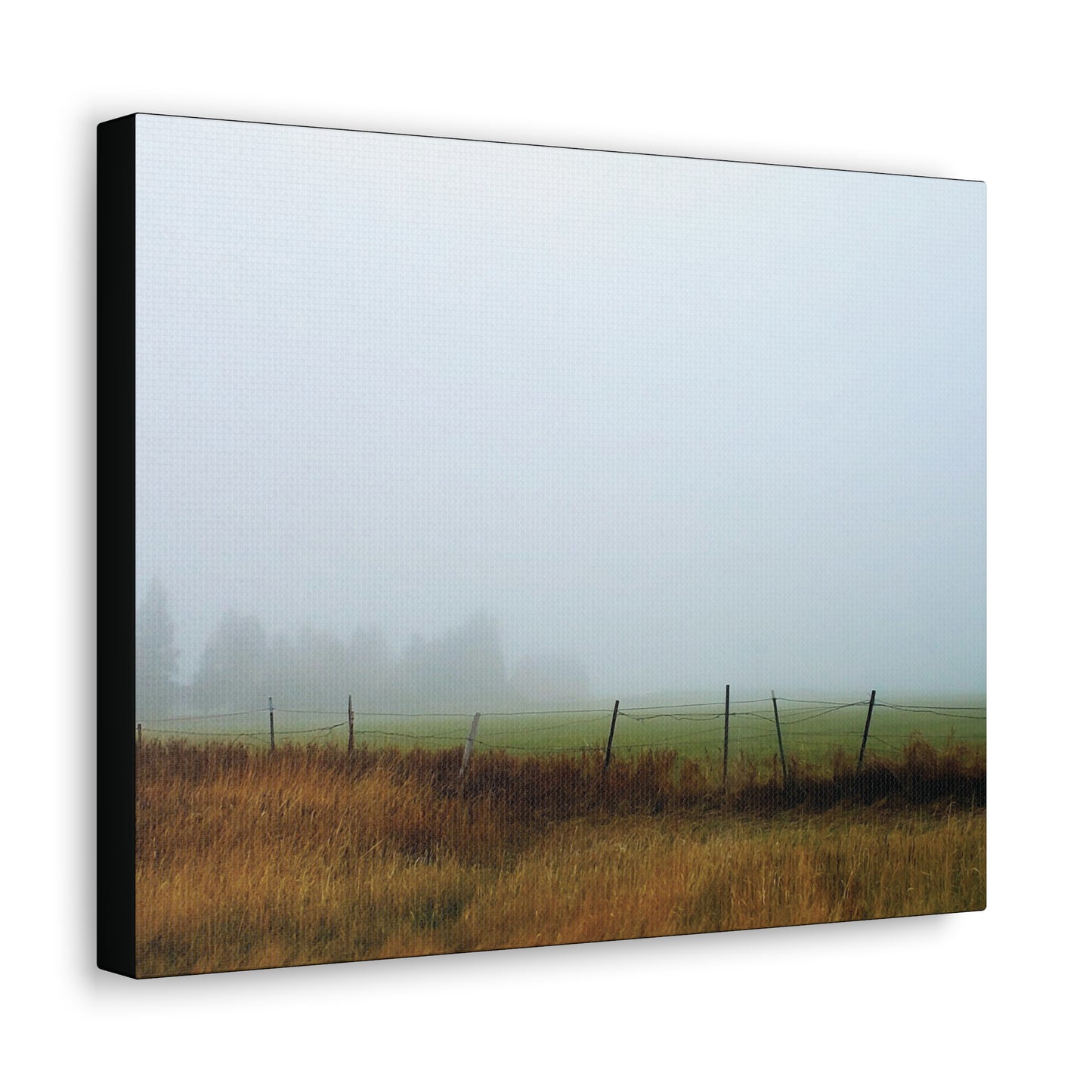 "Foggy Morn"