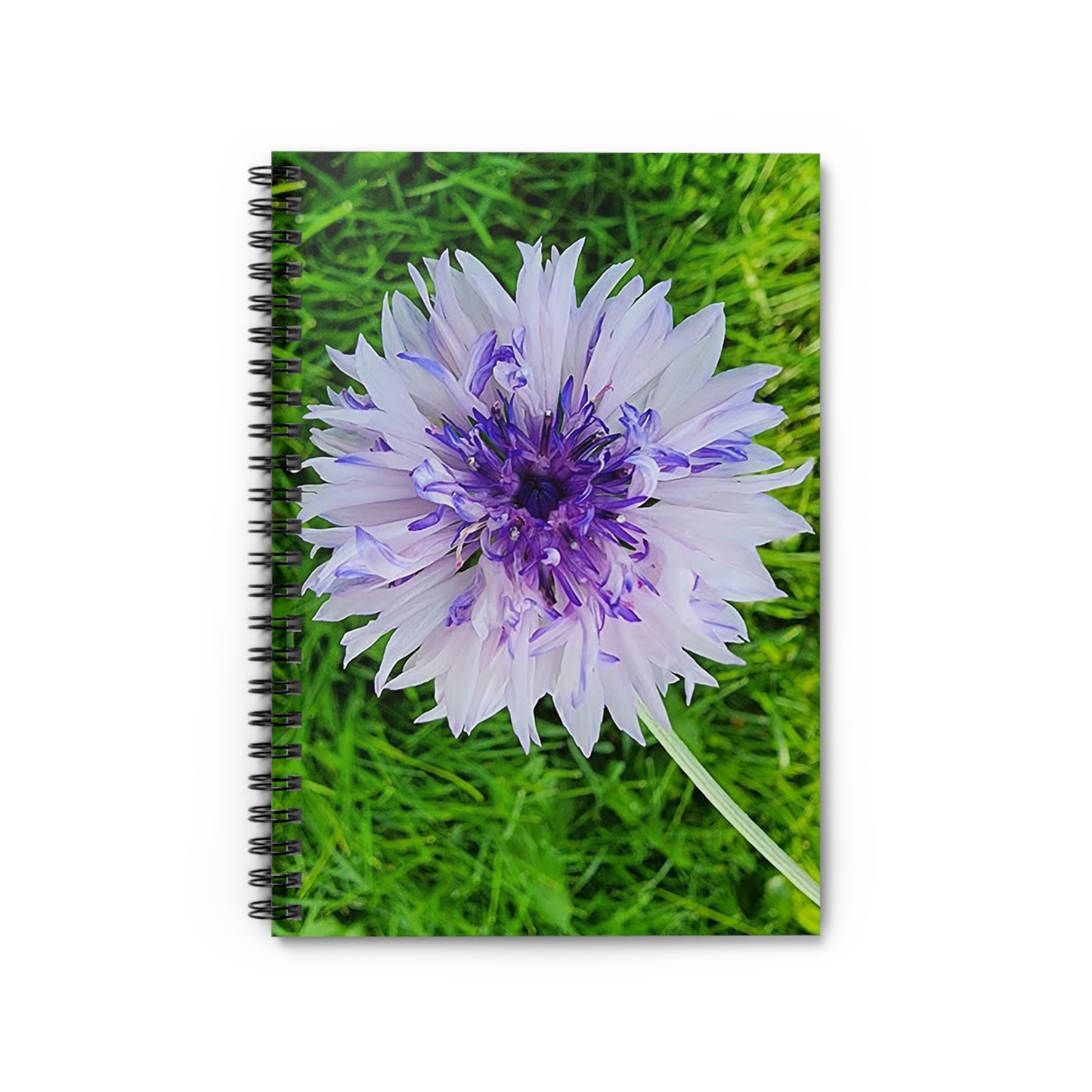 "Coneflower" Spiral Notebook - Ruled Line