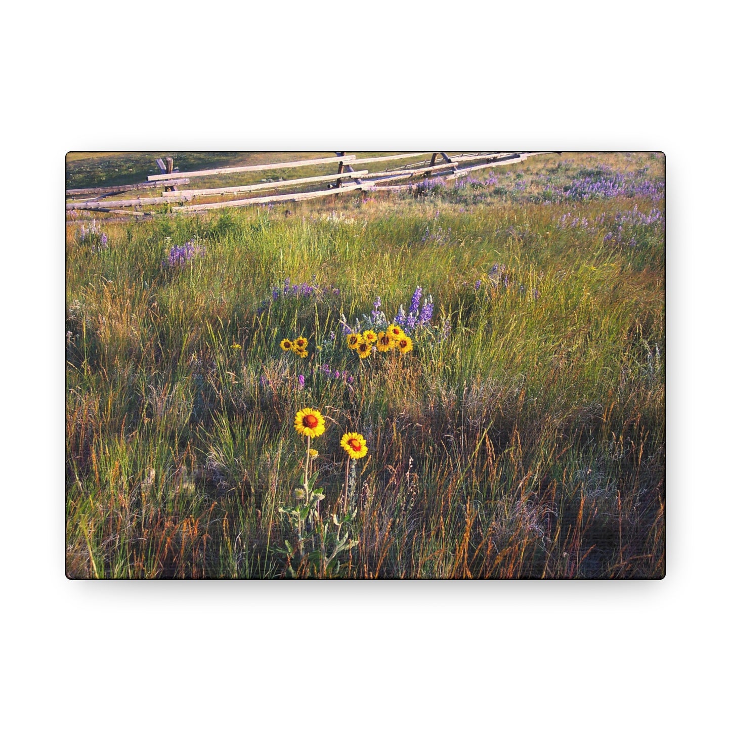 "Field Of Wildflowers" (2)