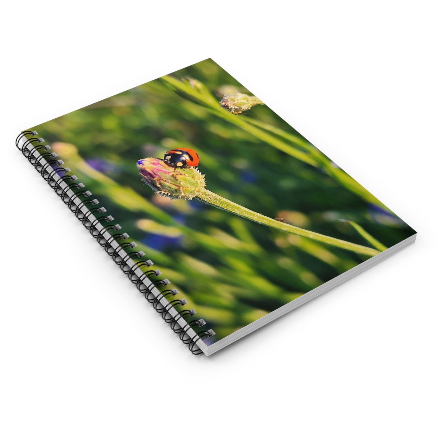 "Ladybug Love" Spiral Notebook - Ruled Line