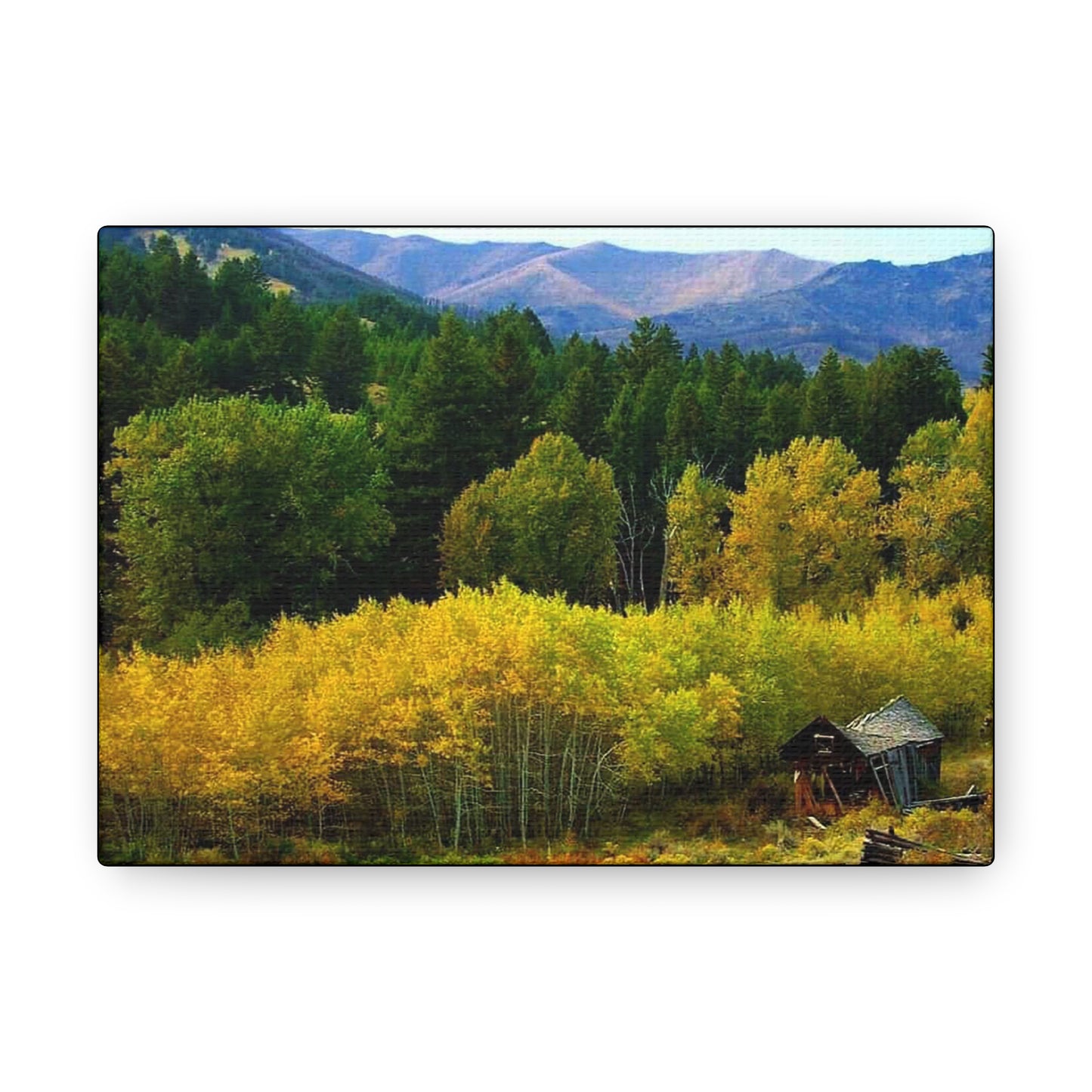 "Autumn In The Rockies"