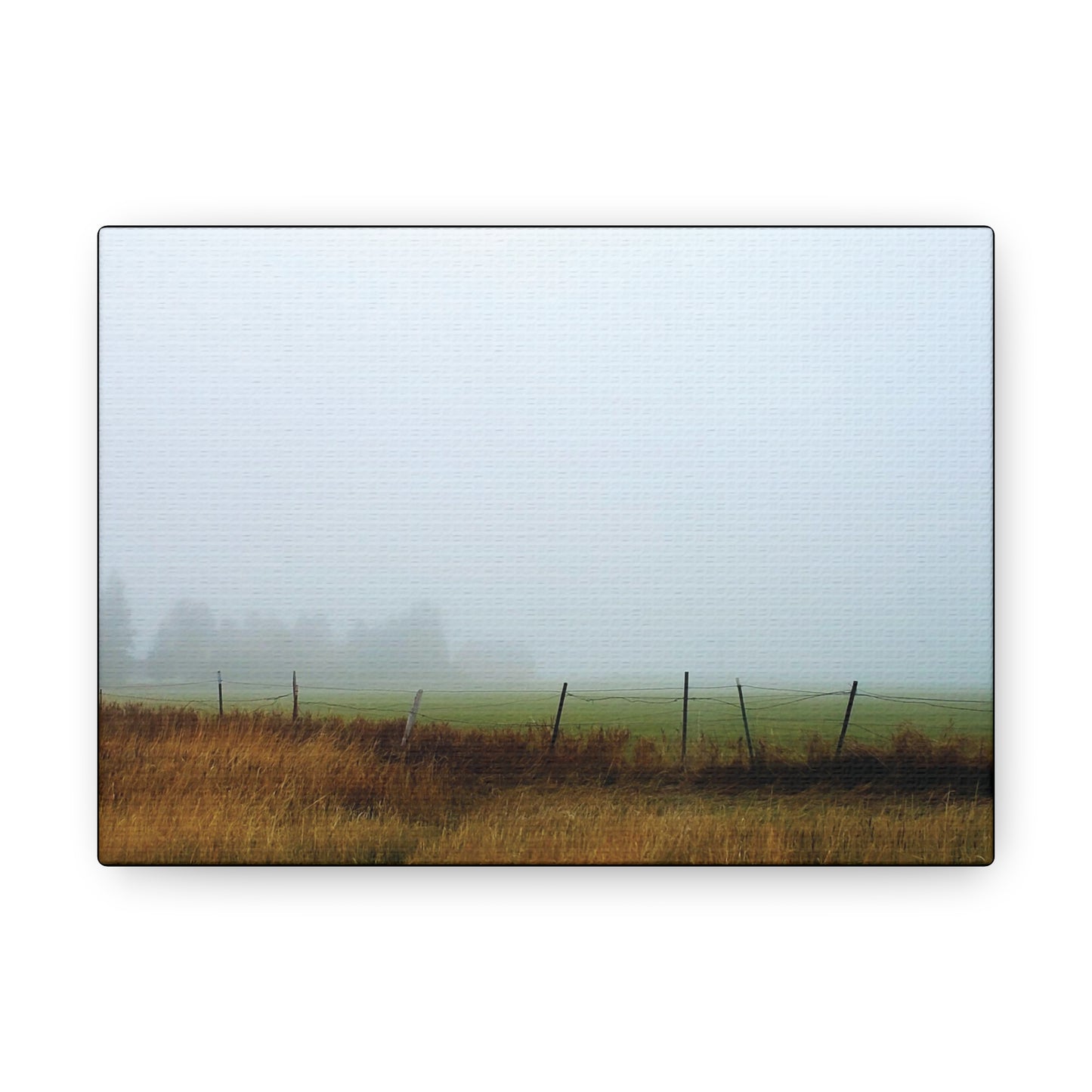 "Foggy Morn"