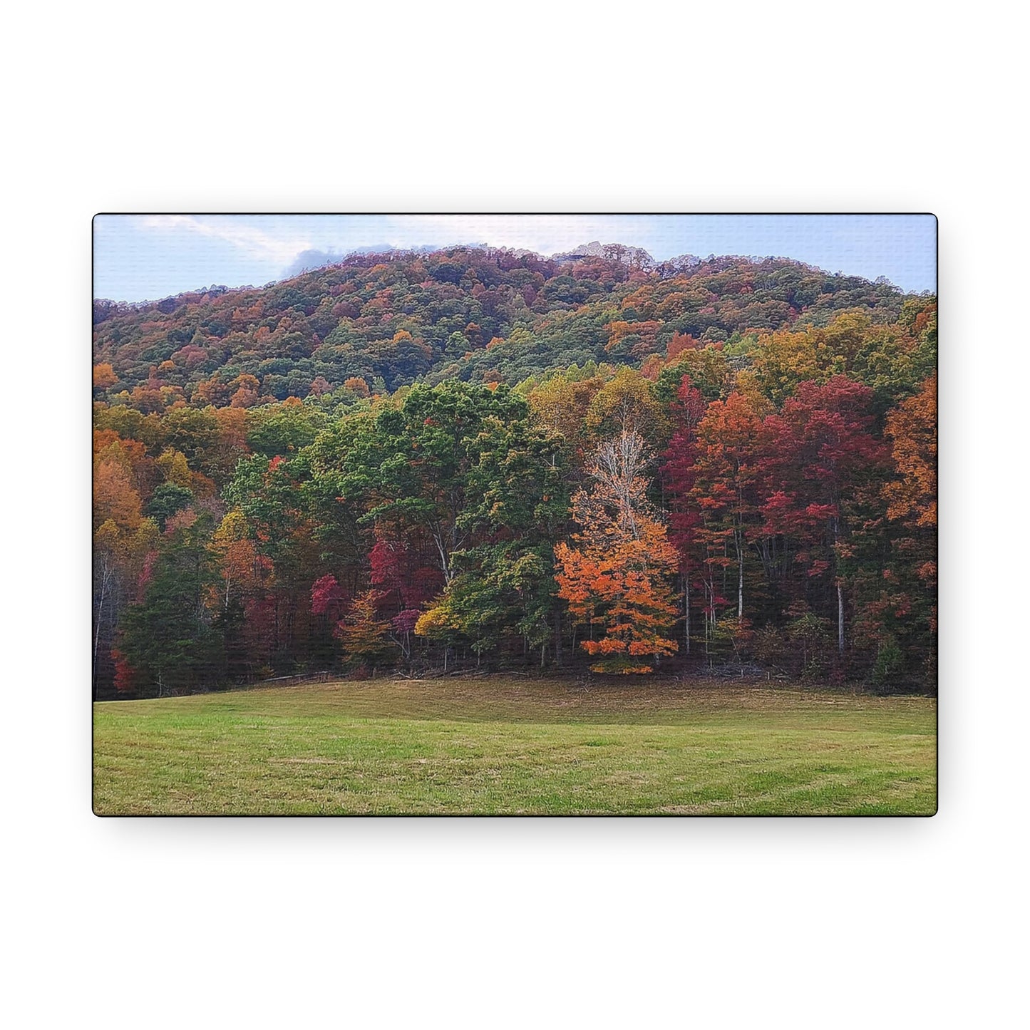 "Appalachian Fall" (2)