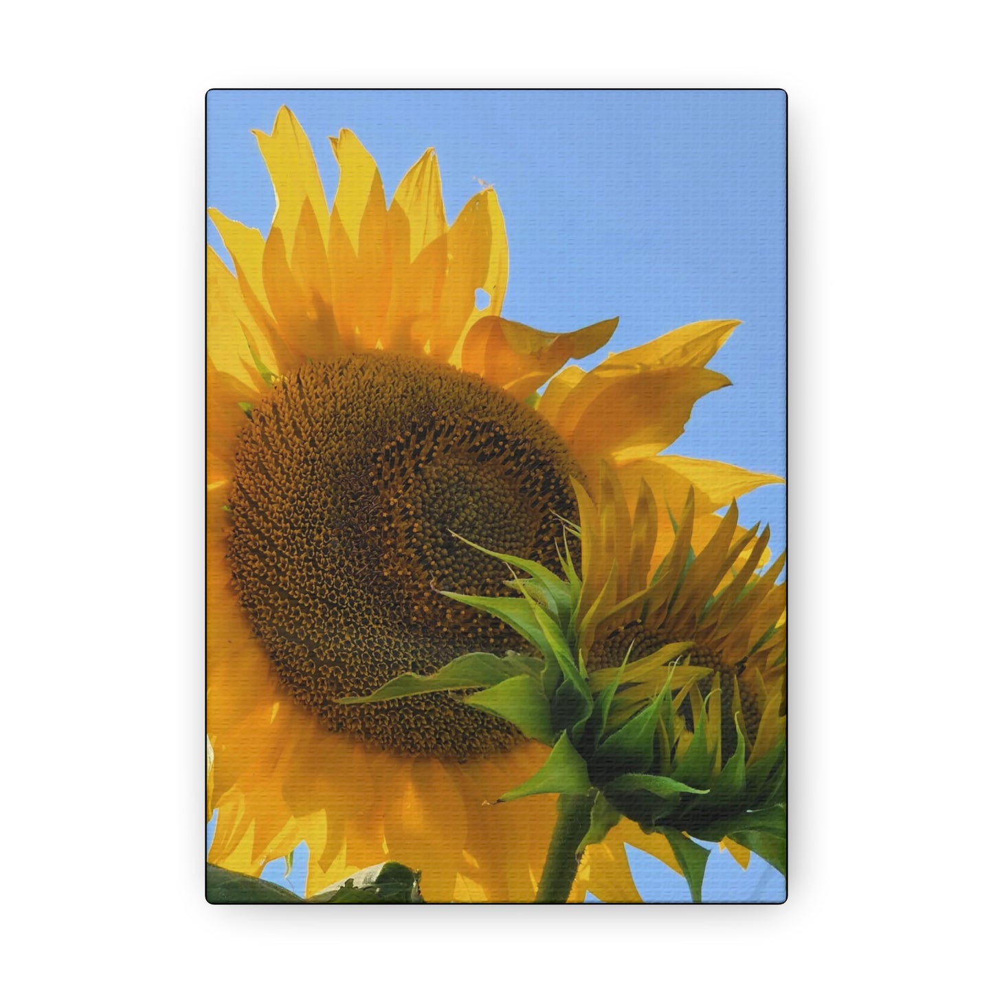 "Sunny Day" Canvas Gallery Wrap