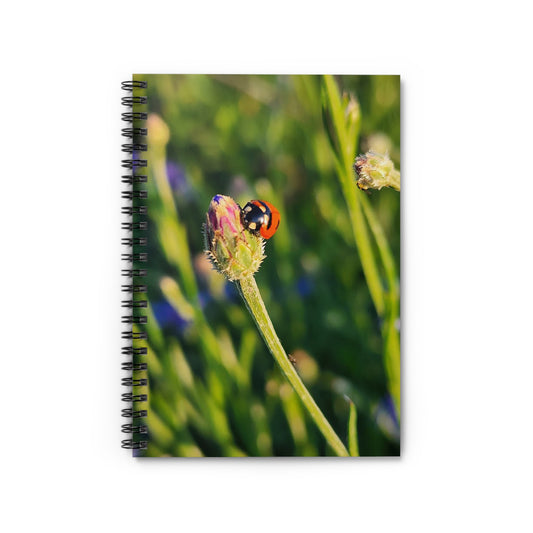 "Ladybug Love" Spiral Notebook - Ruled Line