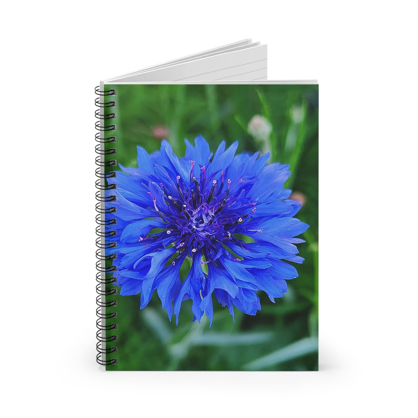 "Bachelor's Button" Spiral Notebook - Ruled Line