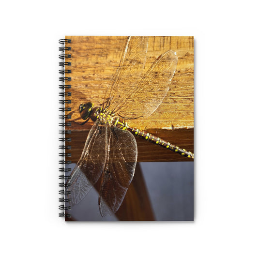 "Dragonfly" Spiral Notebook - Ruled Line