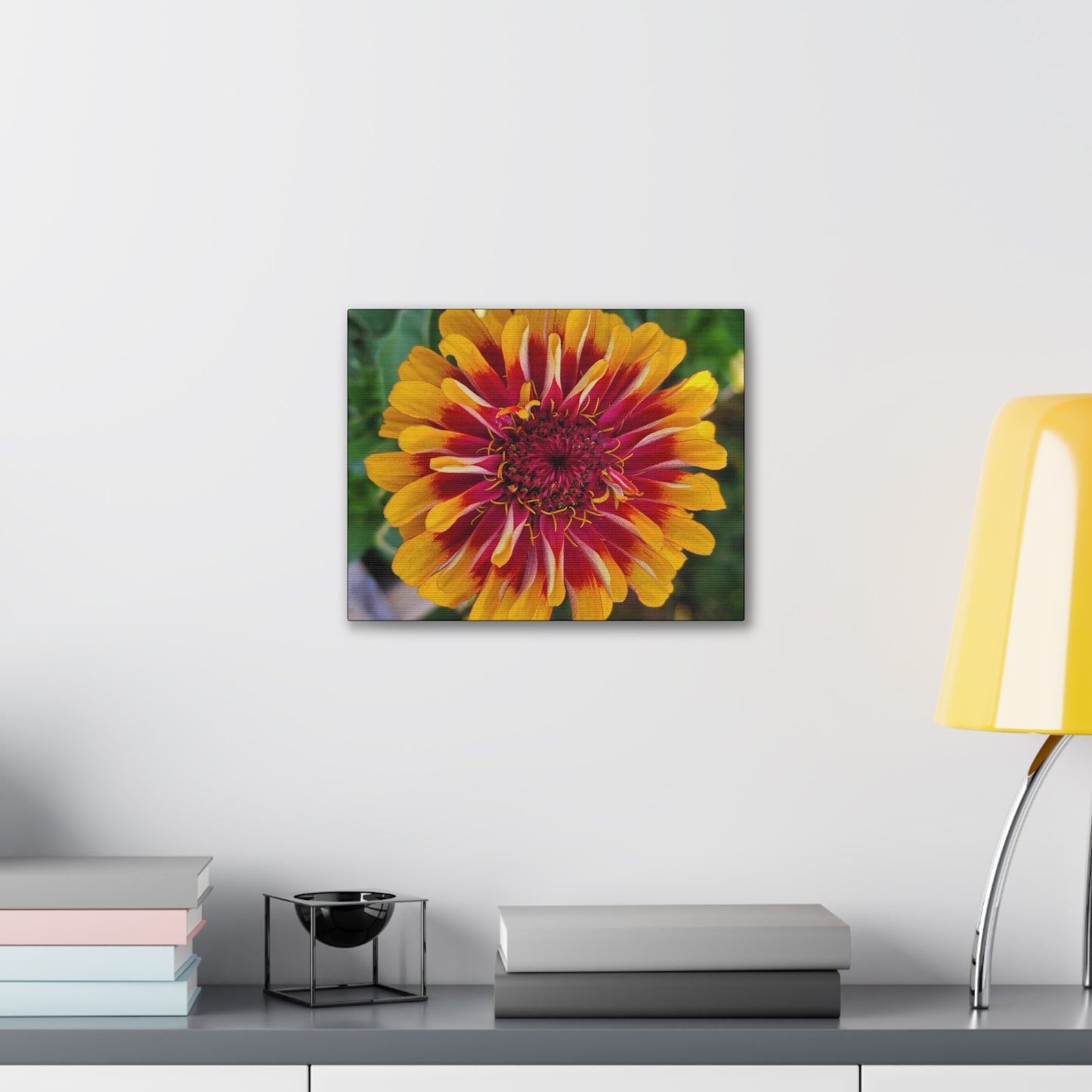 "Yellow Flame Zinnia"