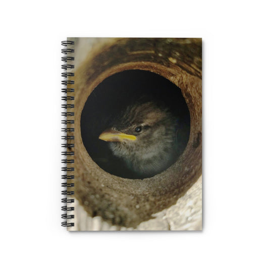 "Peek-A-Boo" Spiral Notebook - Ruled Line