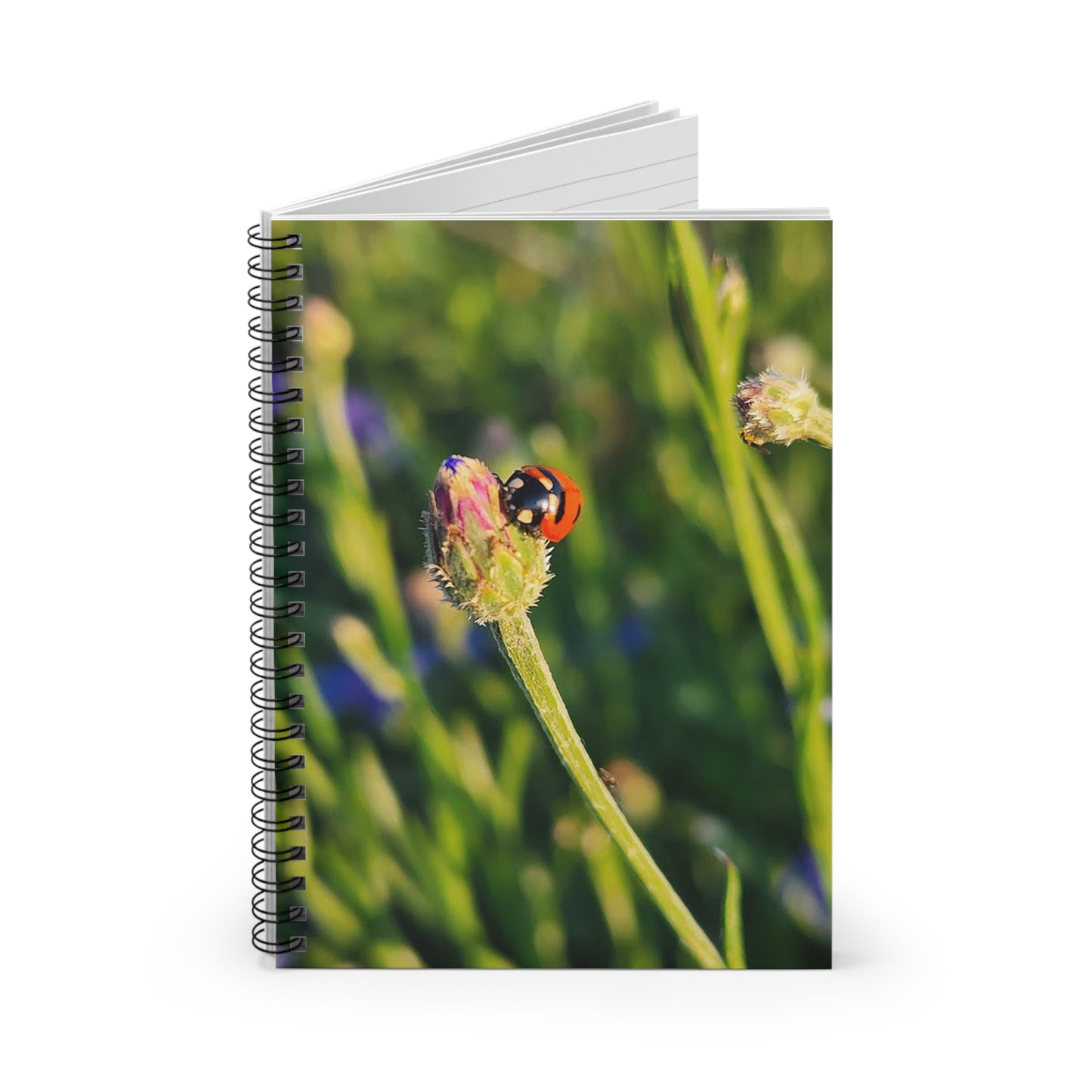 "Ladybug Love" Spiral Notebook - Ruled Line