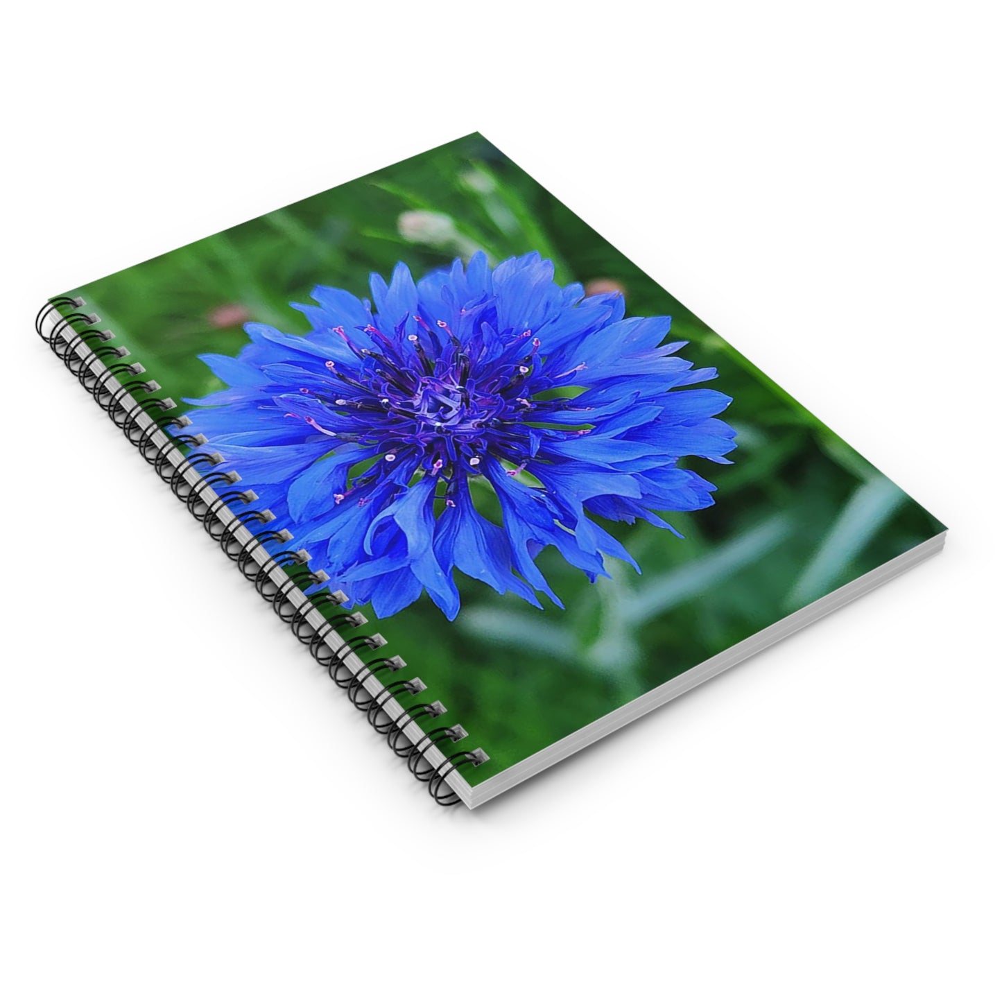 "Bachelor's Button" Spiral Notebook - Ruled Line