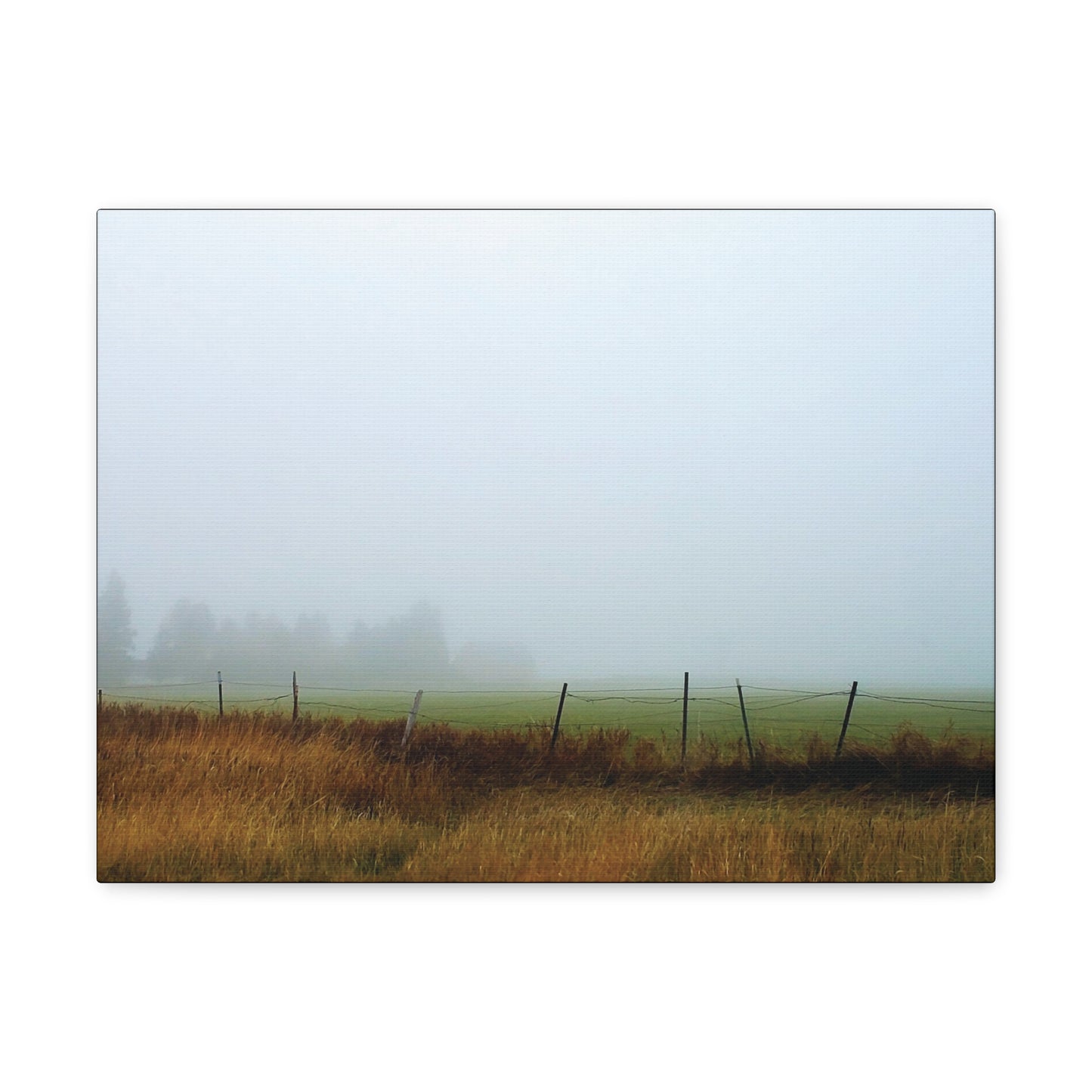 "Foggy Morn"