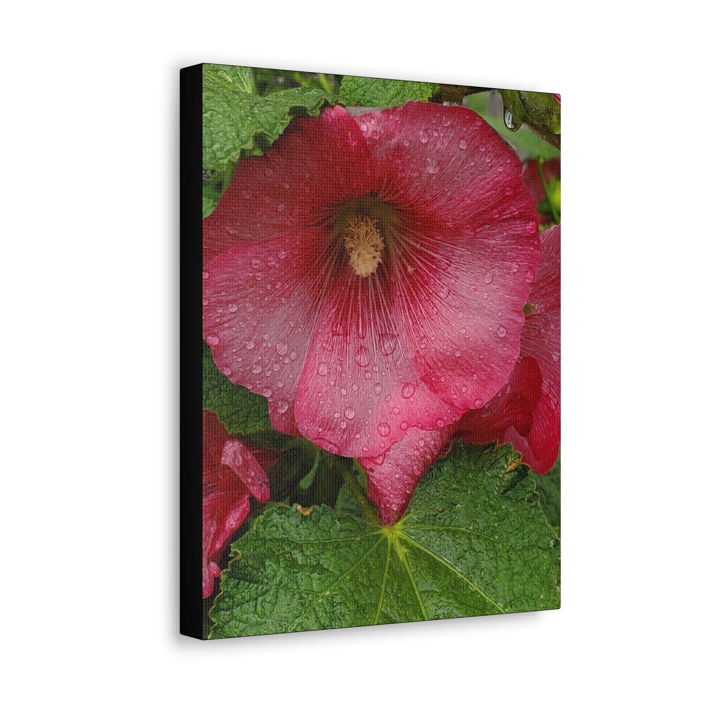 "Red Hollyhock" Canvas Gallery Wrap