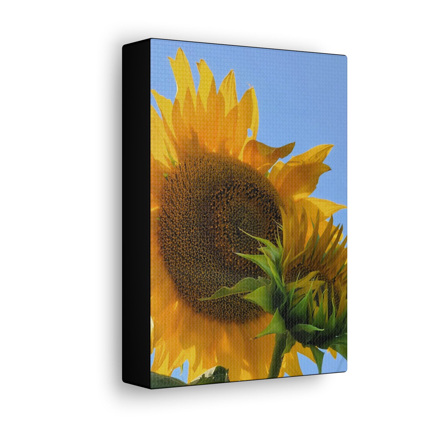 "Sunny Day" Canvas Gallery Wrap