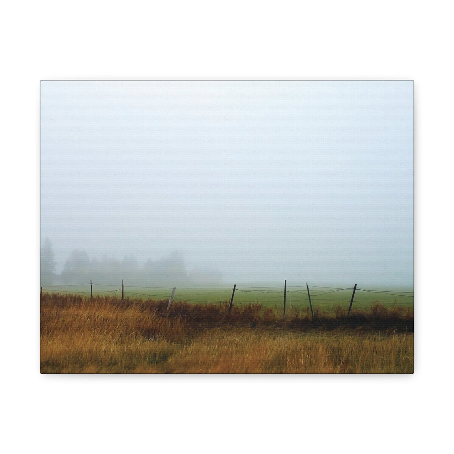 "Foggy Morn"