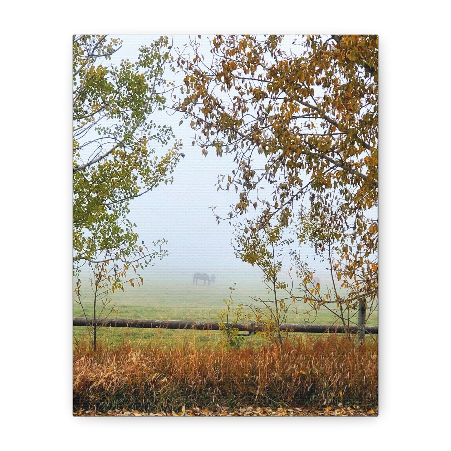 "Fall Pasture" Foggy Landscape Canvas Wall Art - Tranquil Nature Decor for Home