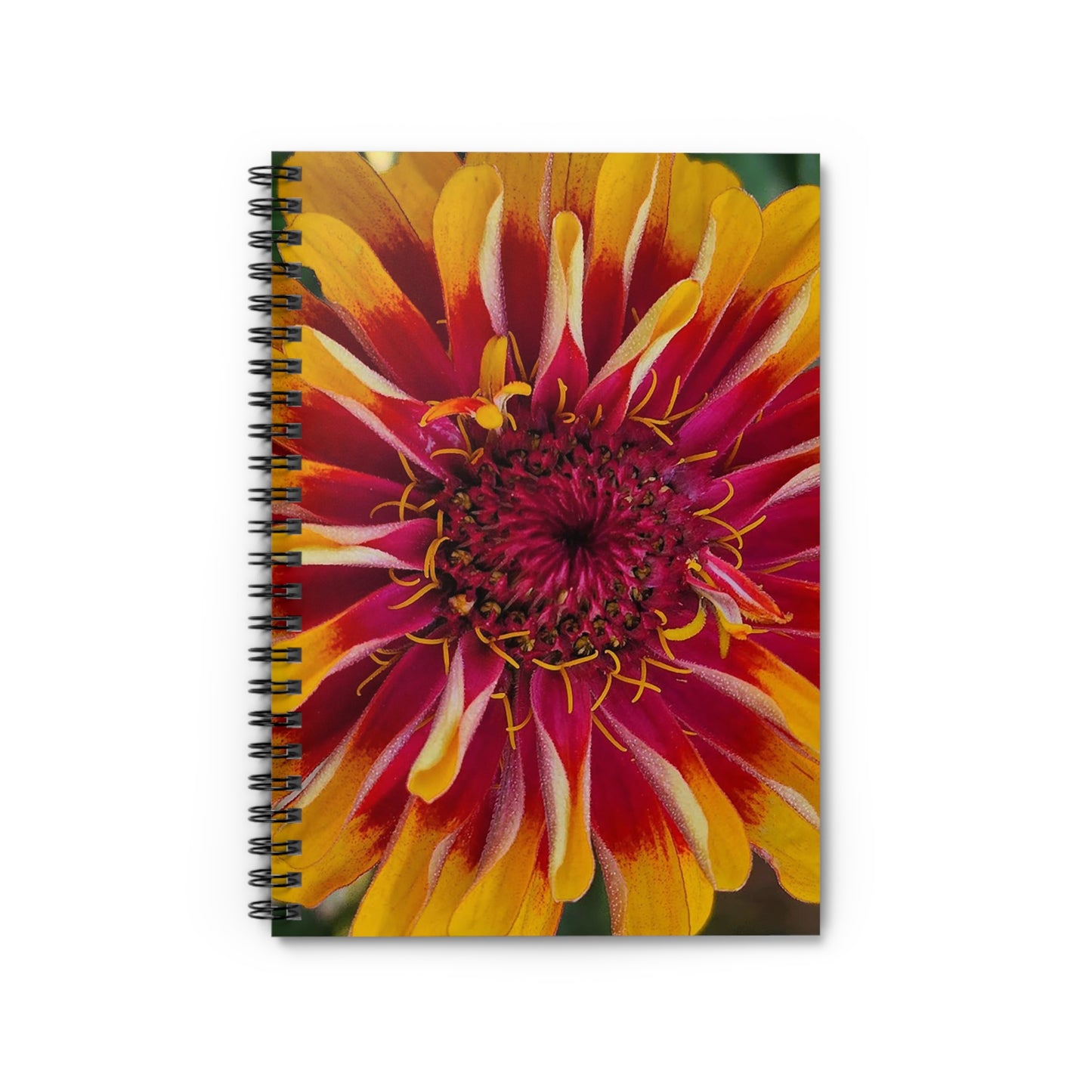 "Yellow Flame Zinnia" Spiral Notebook - Ruled Line