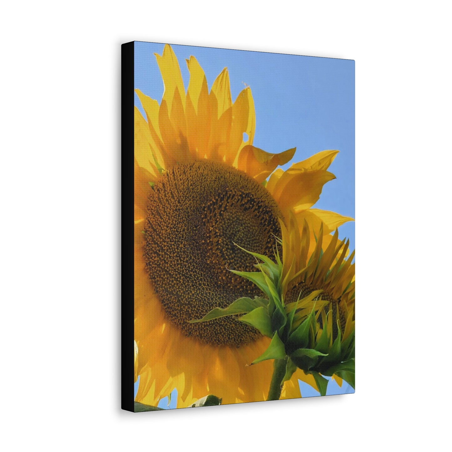 "Sunny Day" Canvas Gallery Wrap