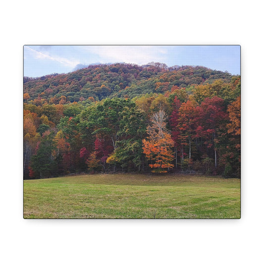 "Appalachian Fall" (2)