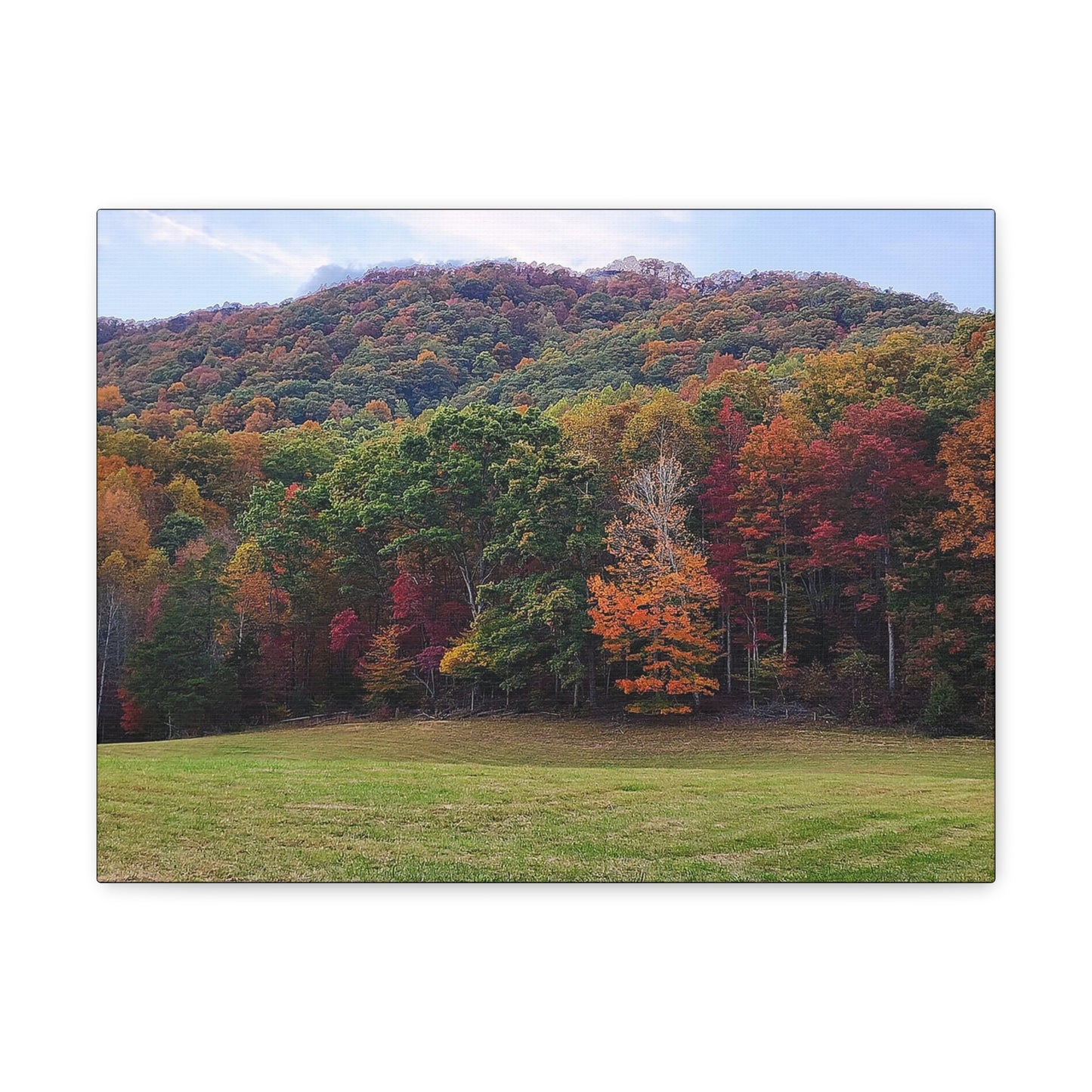 "Appalachian Fall" (2)