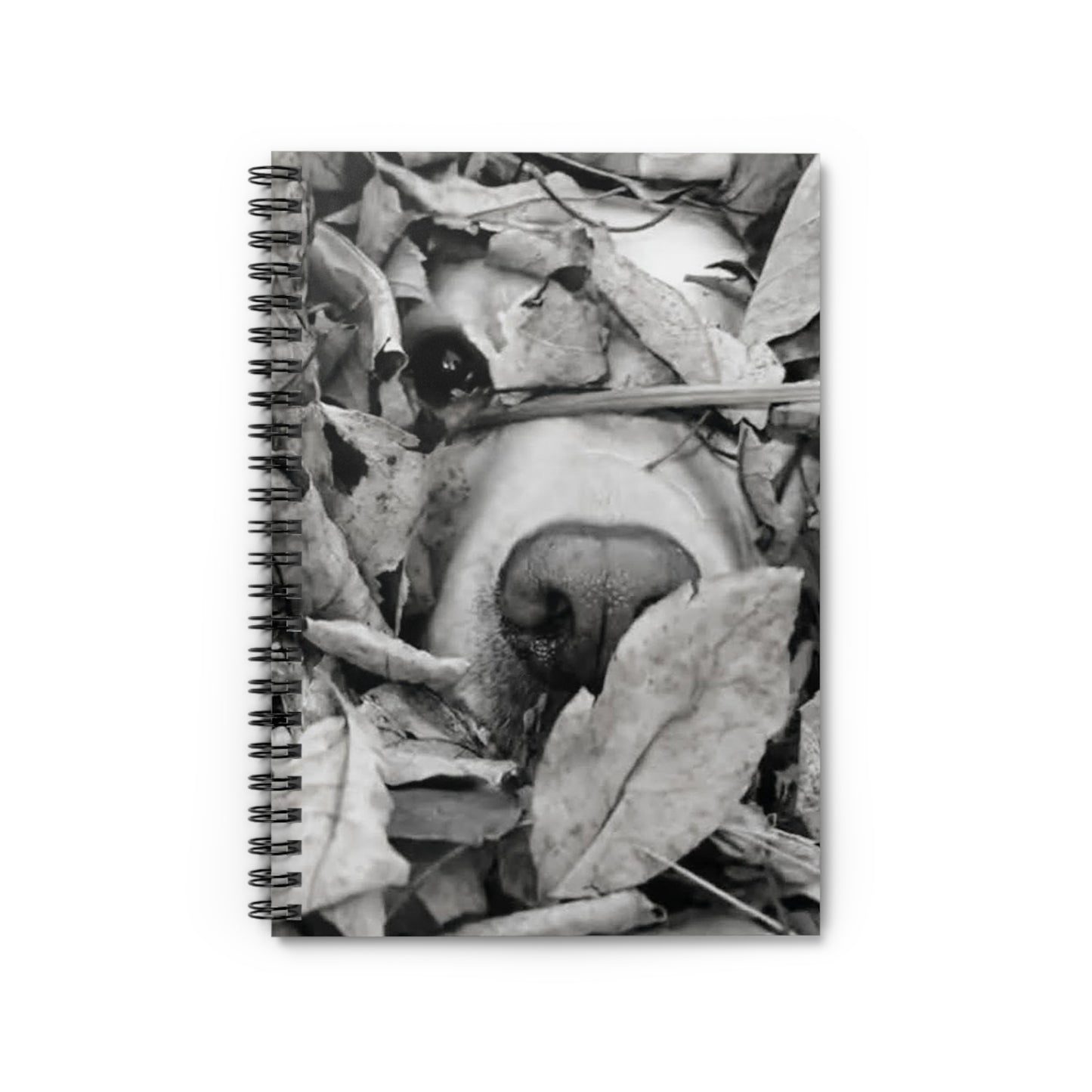 "Hide & Seek" Spiral Notebook - Ruled Line