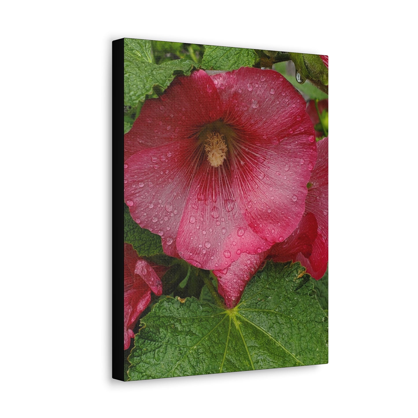 "Red Hollyhock" Canvas Gallery Wrap