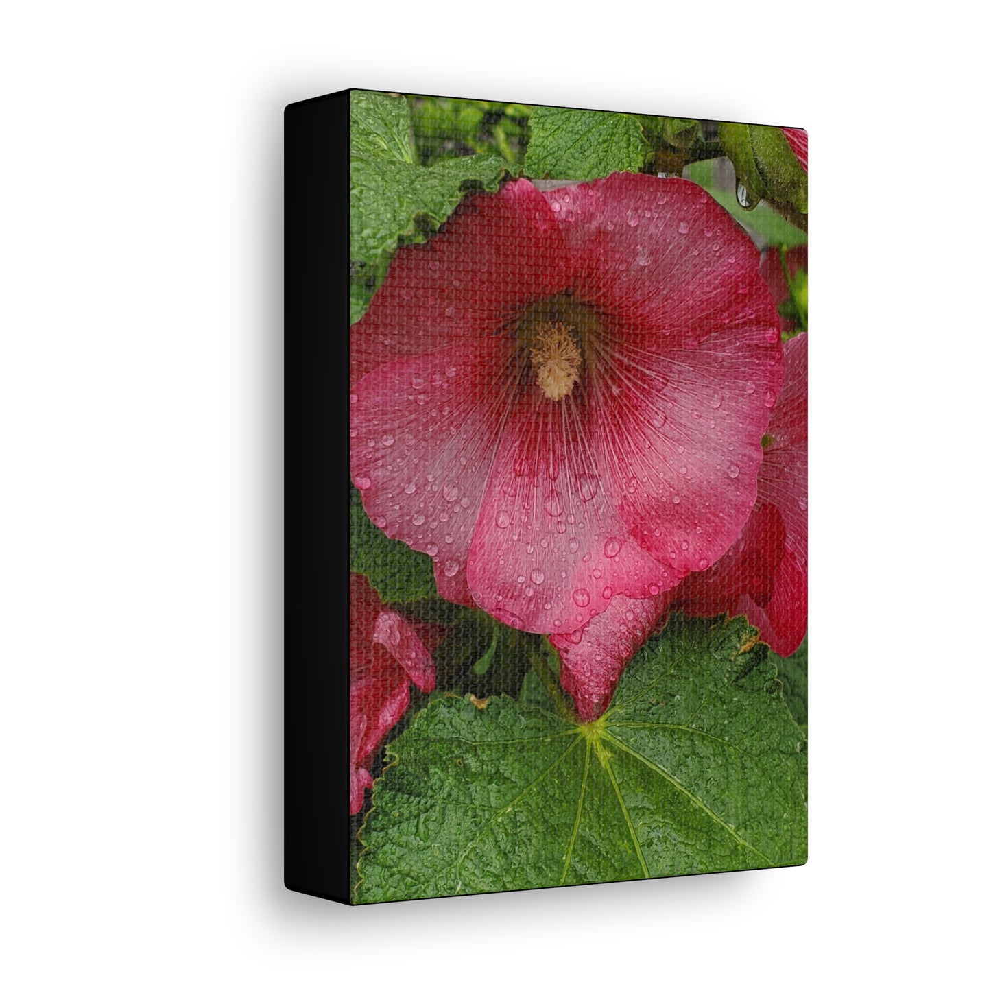 "Red Hollyhock" Canvas Gallery Wrap