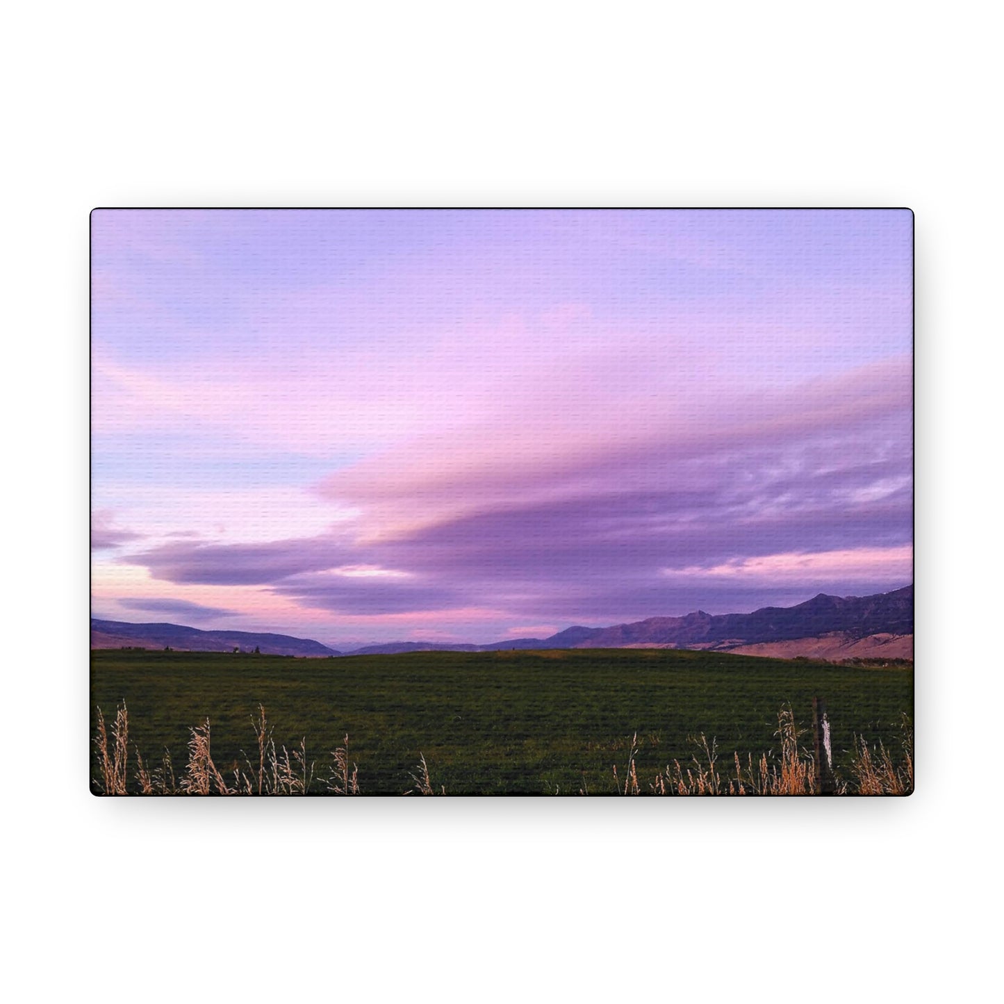 "Purple Skies"