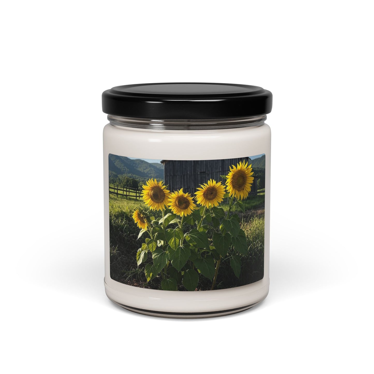 "Sunflower's & Barn" Scented Soy Candle, 9oz