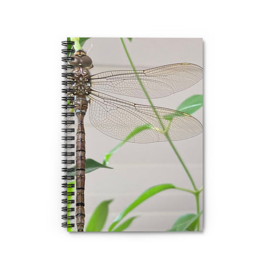 "Wings" Spiral Notebook - Ruled Line