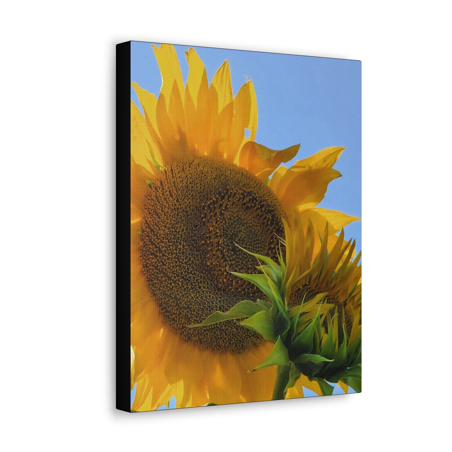 "Sunny Day" Canvas Gallery Wrap